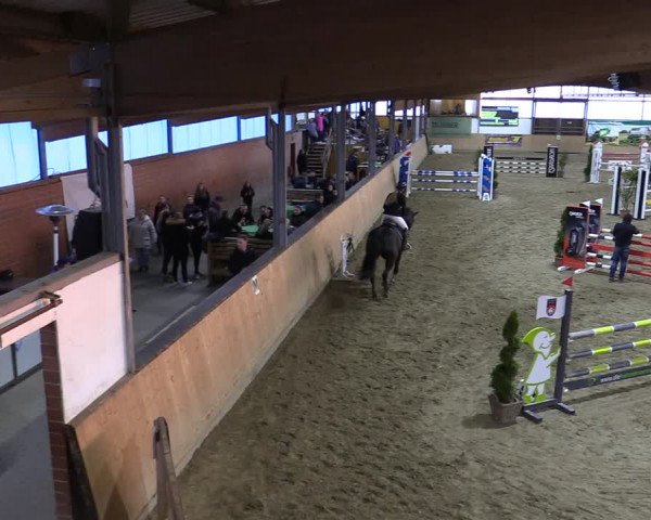 Reitturnier Borgholzhausen-Westbarthausen 2022