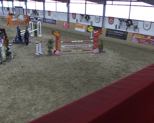 Reitturnier Borgholzhausen-Westbarthausen 2022