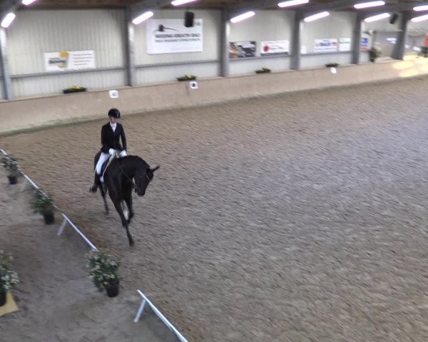 Reitturnier Ahaus 2022