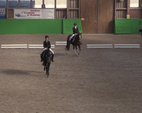 Reitturnier Krumke 2022