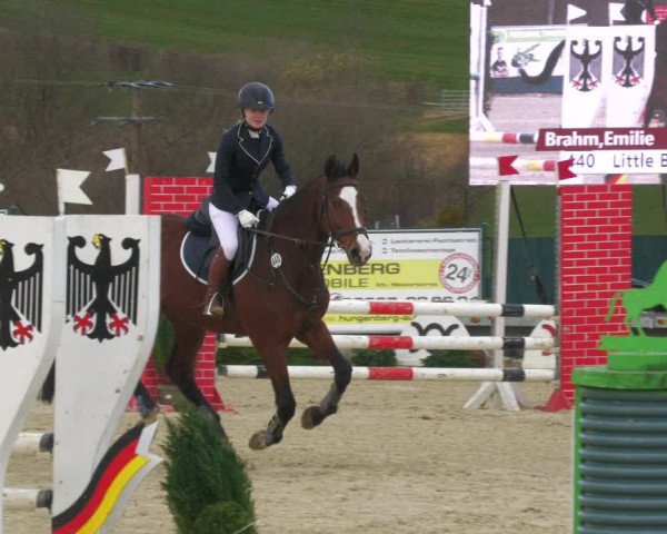 Reitturnier Lindlar-Süttenbach 2022