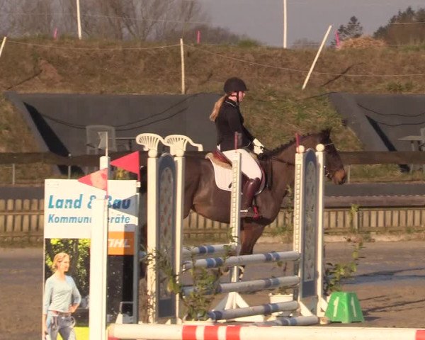 Reitturnier Schülp / Rendsburg 2022