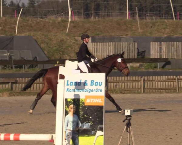 Reitturnier Schülp / Rendsburg 2022