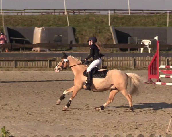 Reitturnier Schülp / Rendsburg 2022