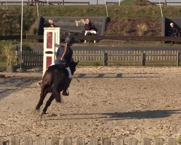 Reitturnier Schülp / Rendsburg 2022