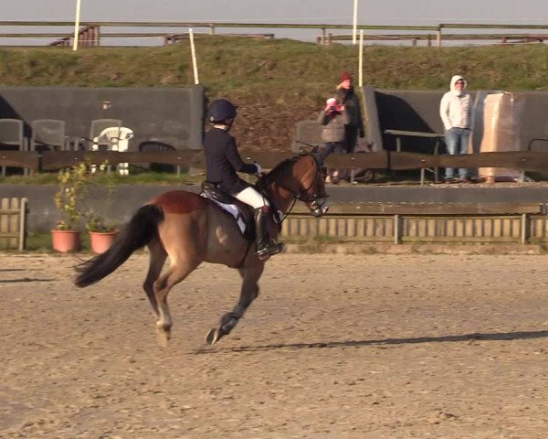 Reitturnier Schülp / Rendsburg 2022