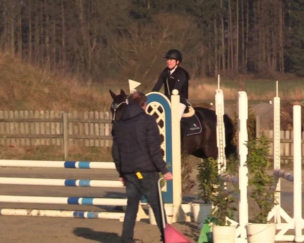 Reitturnier Schülp / Rendsburg 2022