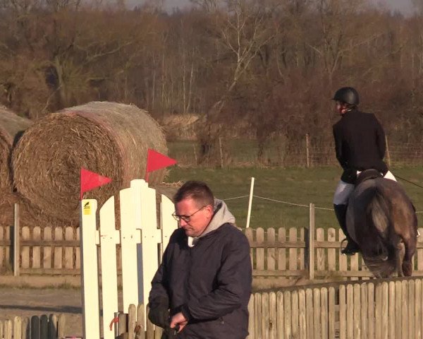 Reitturnier Schülp / Rendsburg 2022