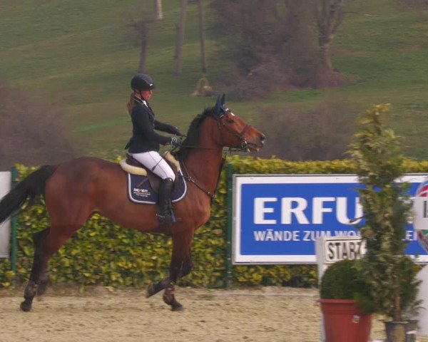 Reitturnier Lindlar-Süttenbach 2022