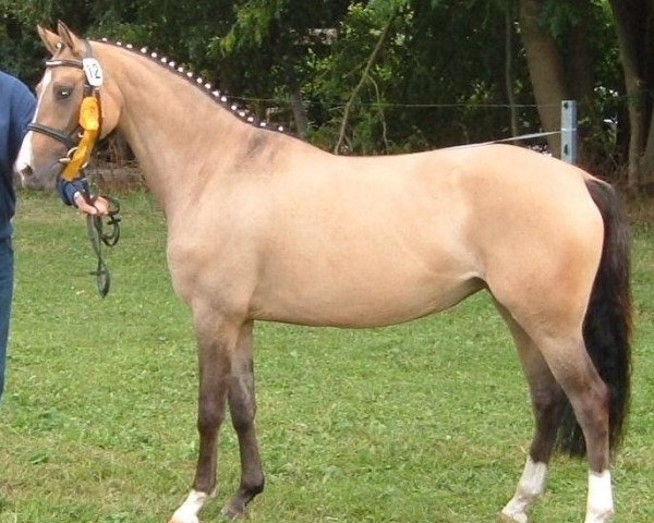 broodmare Citou de Luxe (German Riding Pony, 2005, from FS Champion de Luxe)
