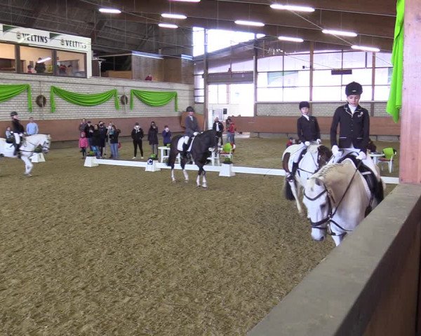 Reitturnier Hellefeld 2022