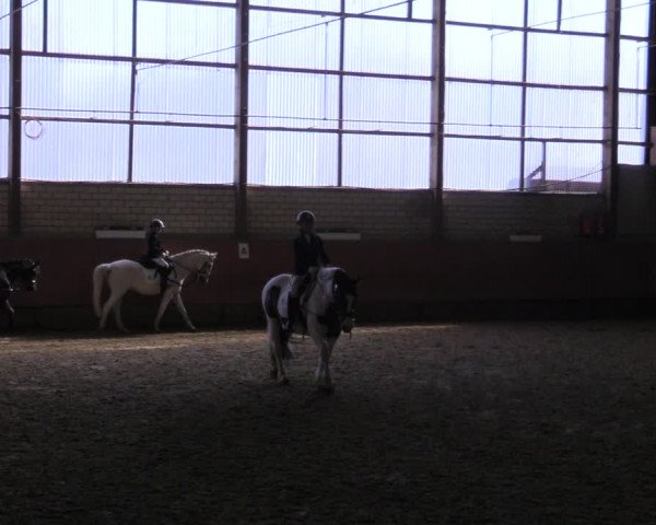 Reitturnier Hellefeld 2022