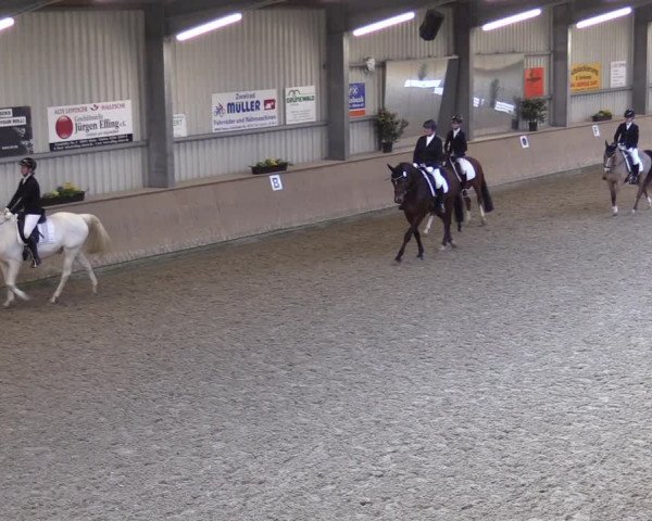 Reitturnier Ahaus 2022