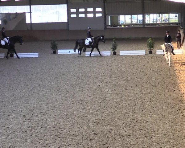 Reitturnier Ahaus 2022
