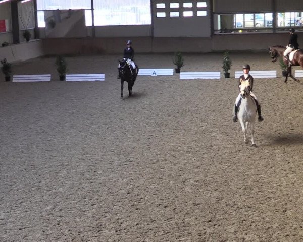 Reitturnier Ahaus 2022