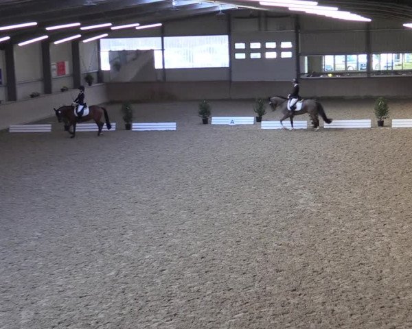 Reitturnier Ahaus 2022