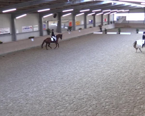Reitturnier Ahaus 2022