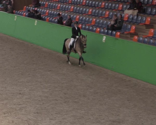 Reitturnier Krumke 2022