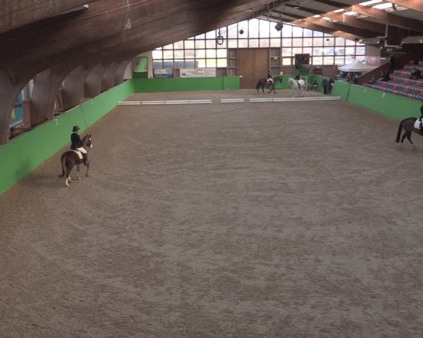 Reitturnier Krumke 2022