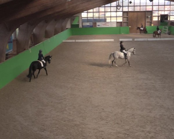 Reitturnier Krumke 2022