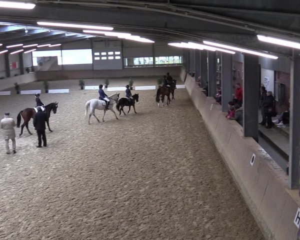 Reitturnier Ahaus 2022