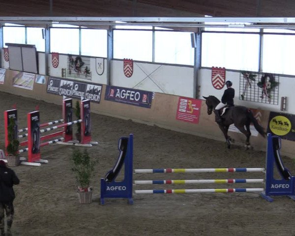 Reitturnier Borgholzhausen-Westbarthausen 2022