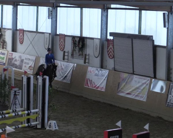 Reitturnier Borgholzhausen-Westbarthausen 2022