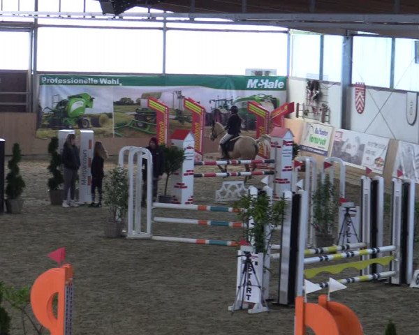 Reitturnier Borgholzhausen-Westbarthausen 2022