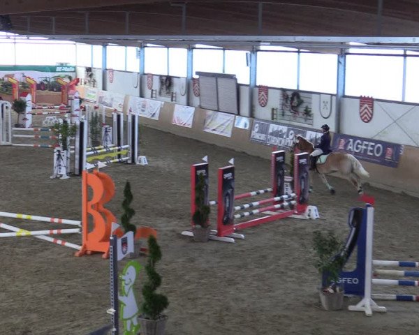 Reitturnier Borgholzhausen-Westbarthausen 2022