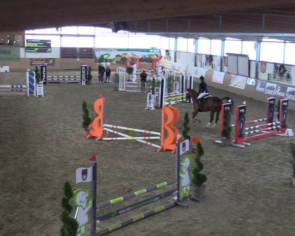 Reitturnier Borgholzhausen-Westbarthausen 2022