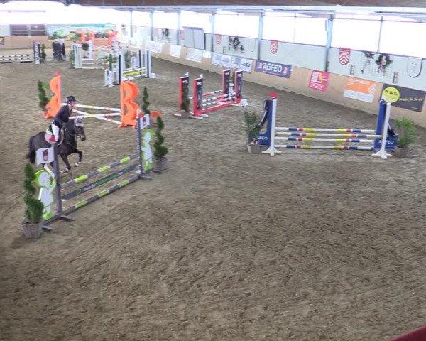 Reitturnier Borgholzhausen-Westbarthausen 2022