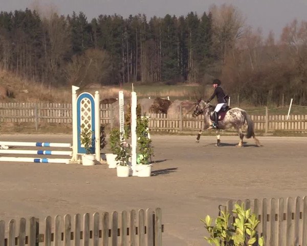 Reitturnier Schülp / Rendsburg 2022