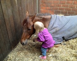jumper Ballerina (KWPN (Royal Dutch Sporthorse), 2006, from Indoctro)