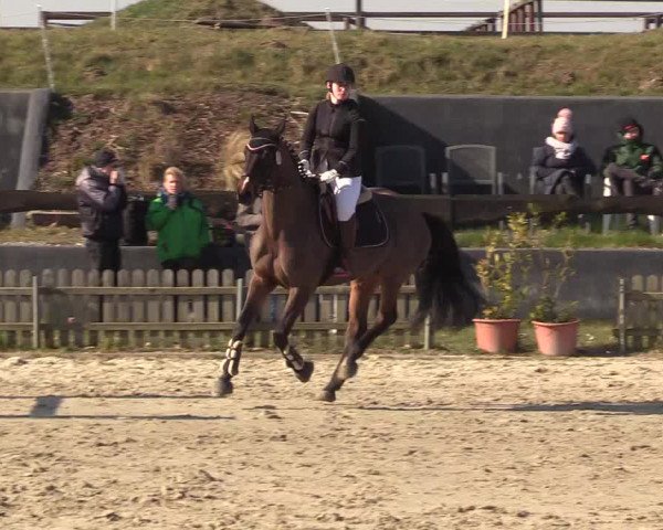 Reitturnier Schülp / Rendsburg 2022