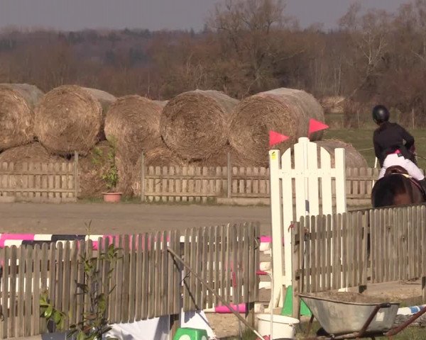 Reitturnier Schülp / Rendsburg 2022
