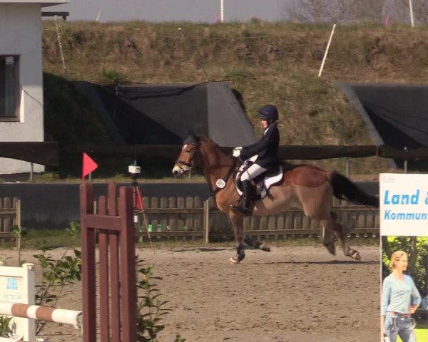 Reitturnier Schülp / Rendsburg 2022