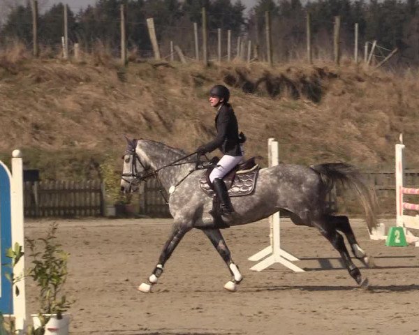 Reitturnier Schülp / Rendsburg 2022