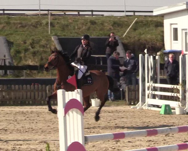Reitturnier Schülp / Rendsburg 2022