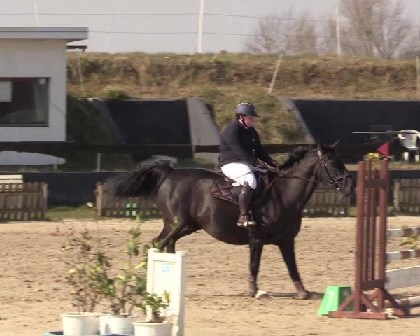 Reitturnier Schülp / Rendsburg 2022