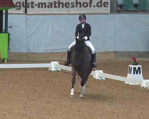 Reitturnier Kreuth/Opf. 2022