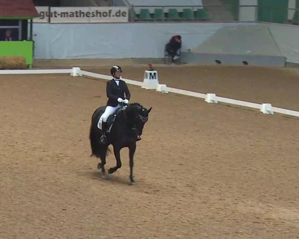 Reitturnier Kreuth/Opf. 2022