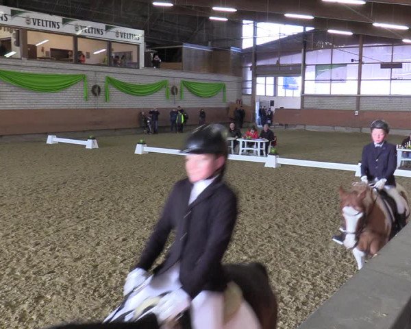 Reitturnier Hellefeld 2022
