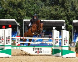 jumper Libertino 10 (Holsteiner, 2007, from Lord Z)