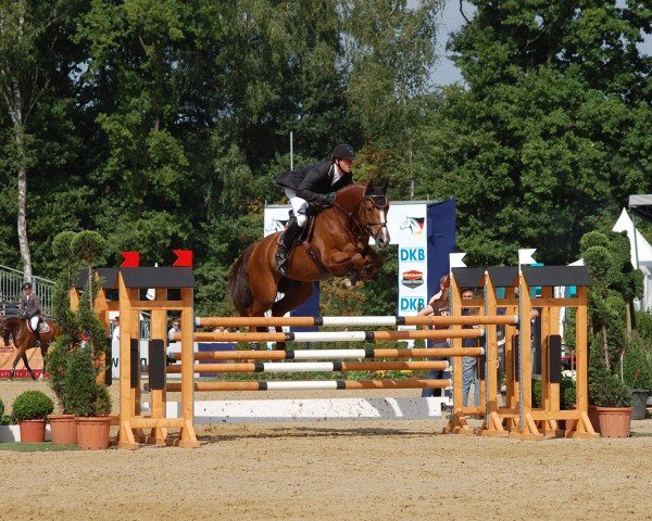 broodmare Lady Lordana OLD (Oldenburg, 2007, from Lordanos)