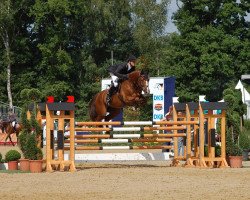 broodmare Lady Lordana OLD (Oldenburg, 2007, from Lordanos)