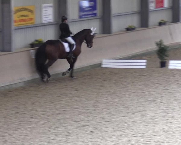 Reitturnier Ahaus 2022