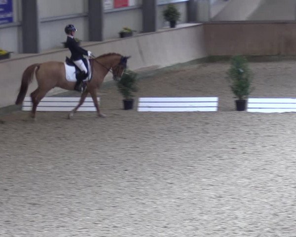Reitturnier Ahaus 2022