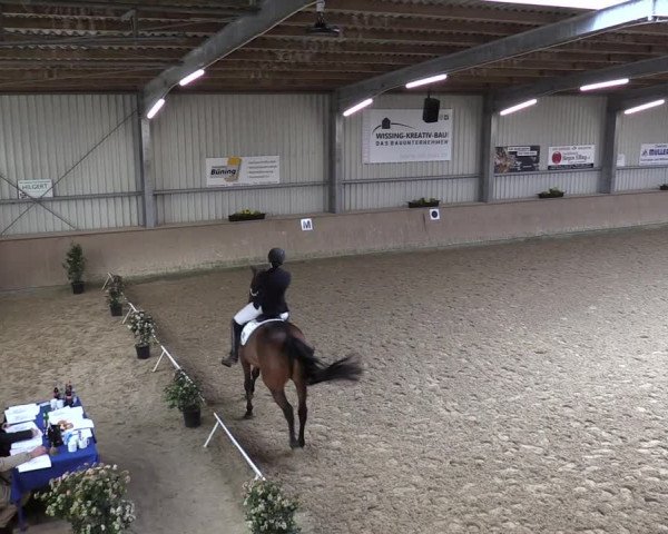 Reitturnier Ahaus 2022