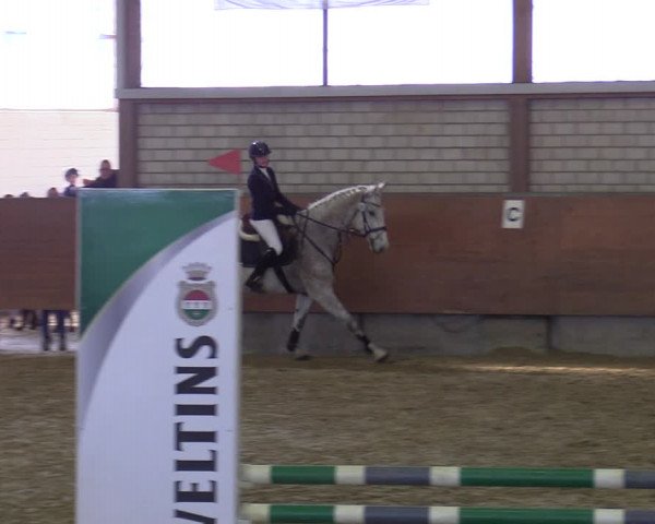 Reitturnier Hellefeld 2022
