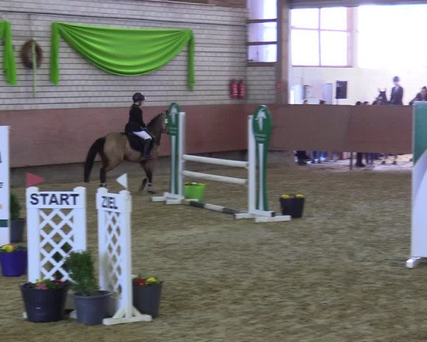 Reitturnier Hellefeld 2022